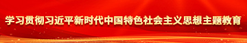 亚洲大鸡吧学习贯彻习近平新时代中国特色社会主义思想主题教育